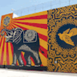 Meet your Posher, Leisla